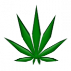 TreeferSoft
