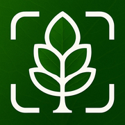 Tree Identifier App