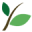 Treeinfo