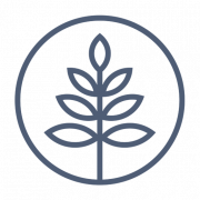 Treezi