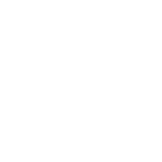 Trex IPTV