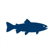 TroutFishing
