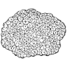 Truffle Tracker