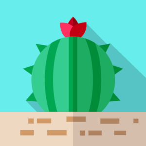 Turks And Caicos App