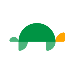 Turtle Learn