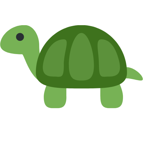 TurtleMath