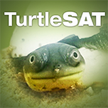 TurtleSAT