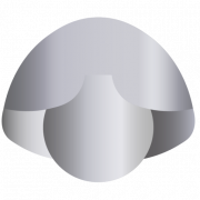 Twiki Solutions