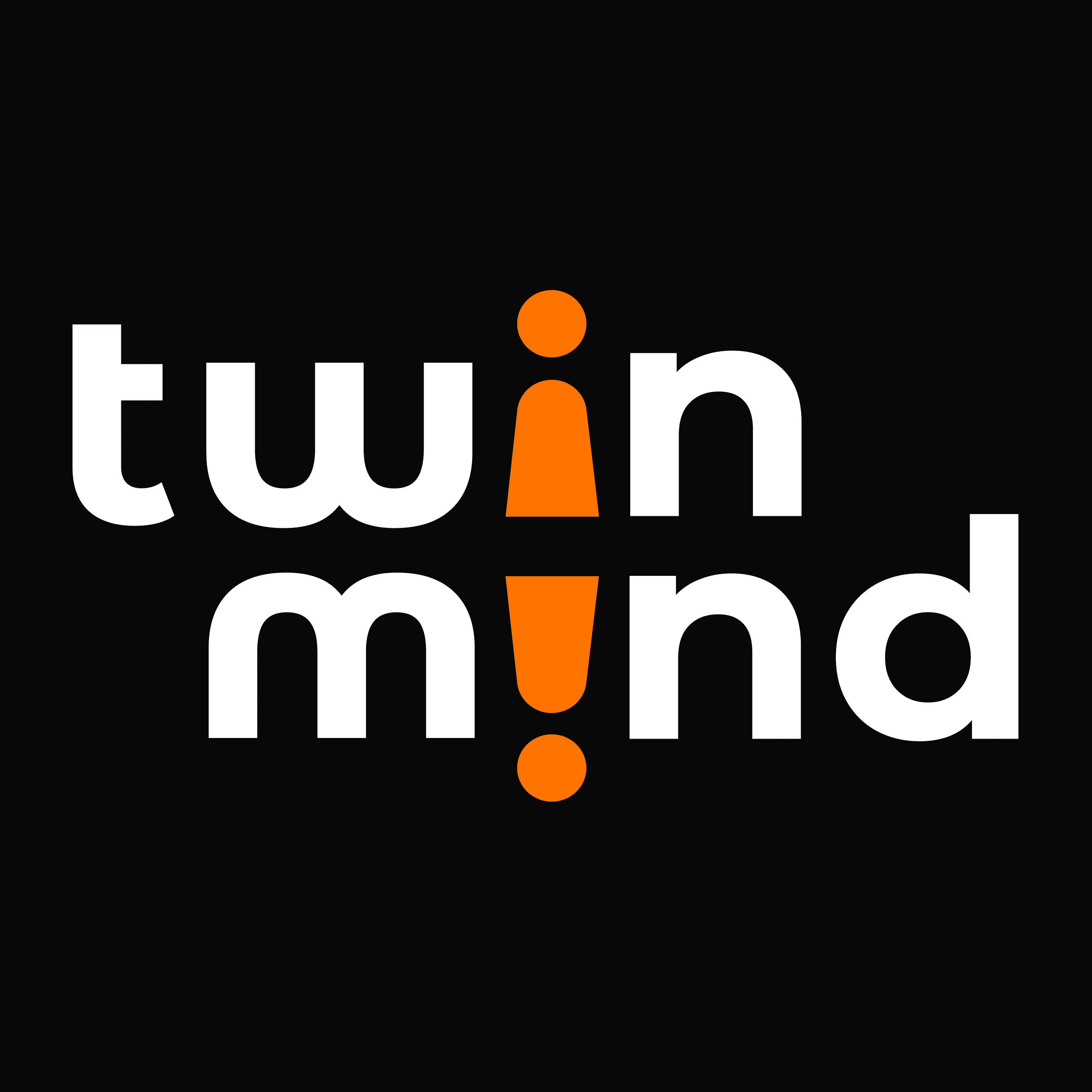 TwinMind