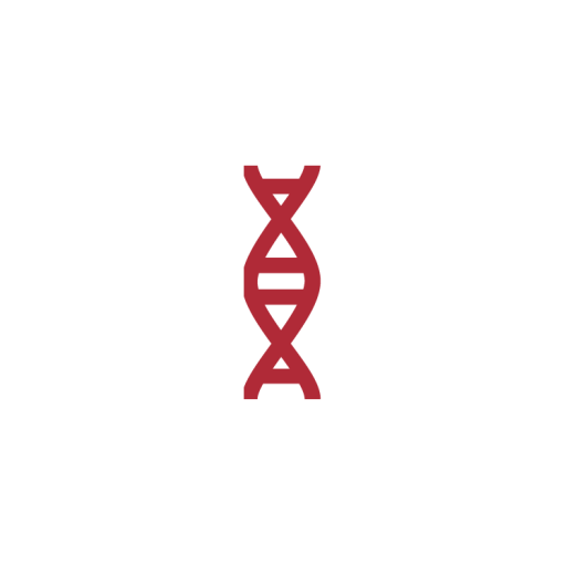TwistedLadder