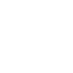 TypeOS