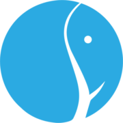 Umana Analytics