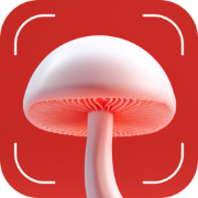 uMushroomer