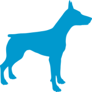 Underdog Media
