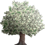 Undervalued Equity