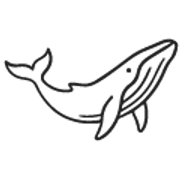 Urashiru