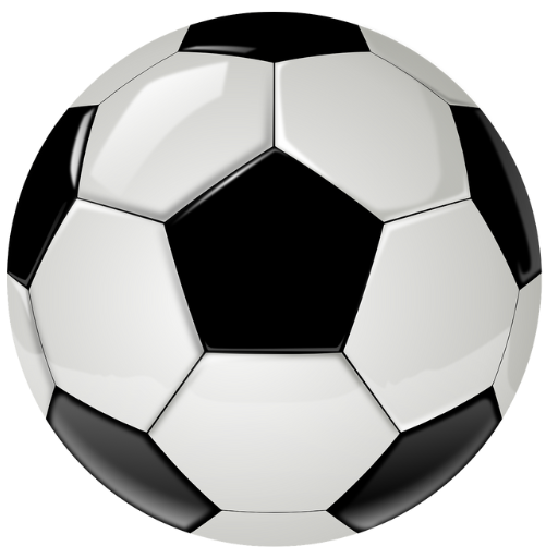 USA Sport Statistics