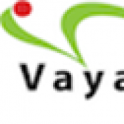 Vayavya Labs