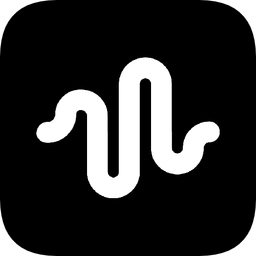 VChanger