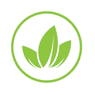 Vectur Energy