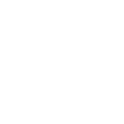 Vedmio