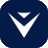 VeeForm