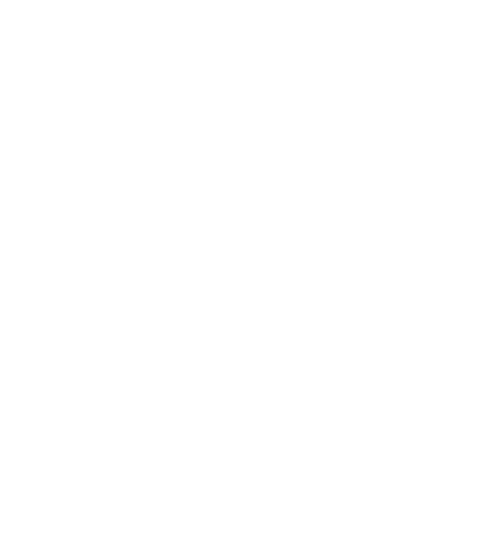 Vega Software