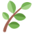 Verdant
