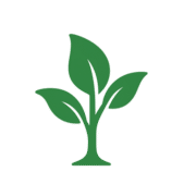 VerdeBotany