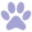 Verifica Pet