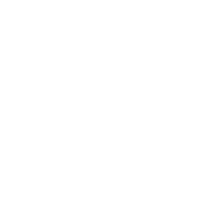 Verve AI