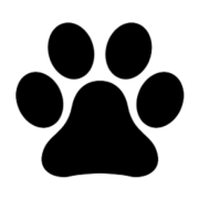 Vet Cloud Software