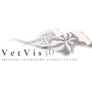 VetVis 3D