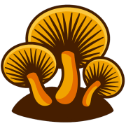Vhumi
