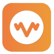 Vibrant Web