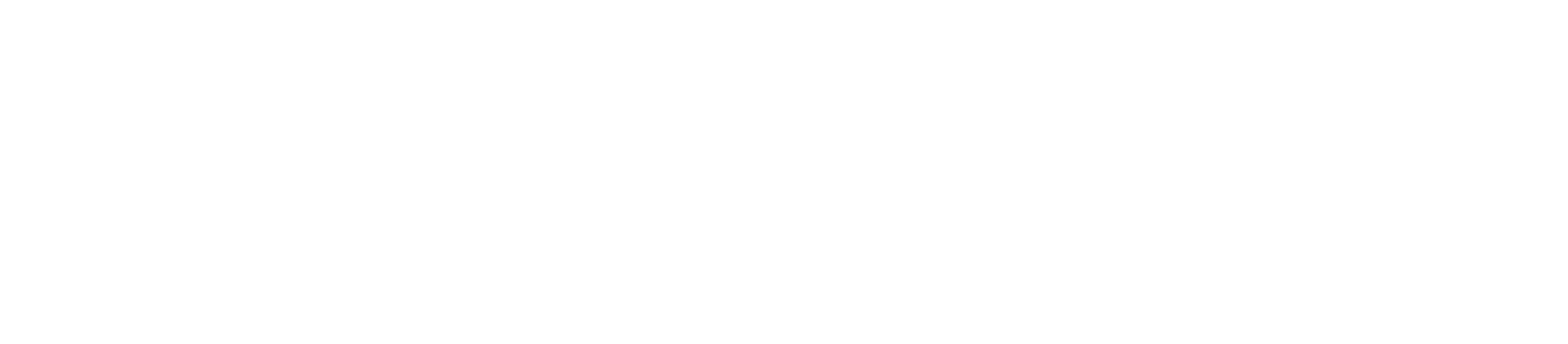 VIDDIA