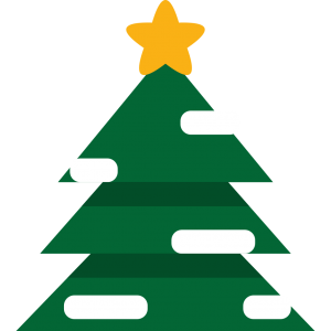 Video Call Santa