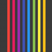 Video Display