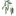 VSDC