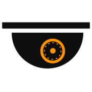 VideosorveglianzaInRegola