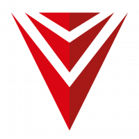 Vidya Technology