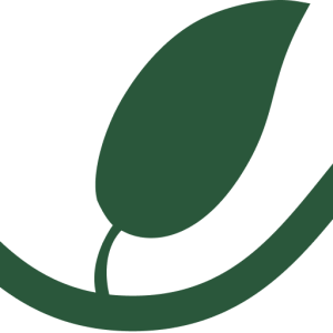 Vine Financial