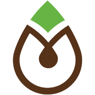 VioEdu