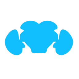 Virtual Fly Brain