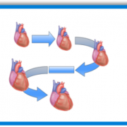 Virtual Heart Care