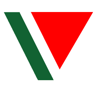 Visionova