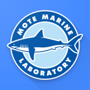 Mote Beach Conditions Reporting System