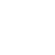 Visium AI