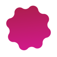 visorPRO