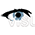 ViSUS